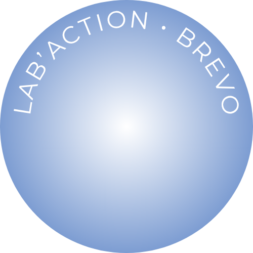 mme-structure-LOGO-CHRISTELLE-ANDREUX-accompagnement-STRUCTURE-BUSINESS-formation-lab-action-brevo