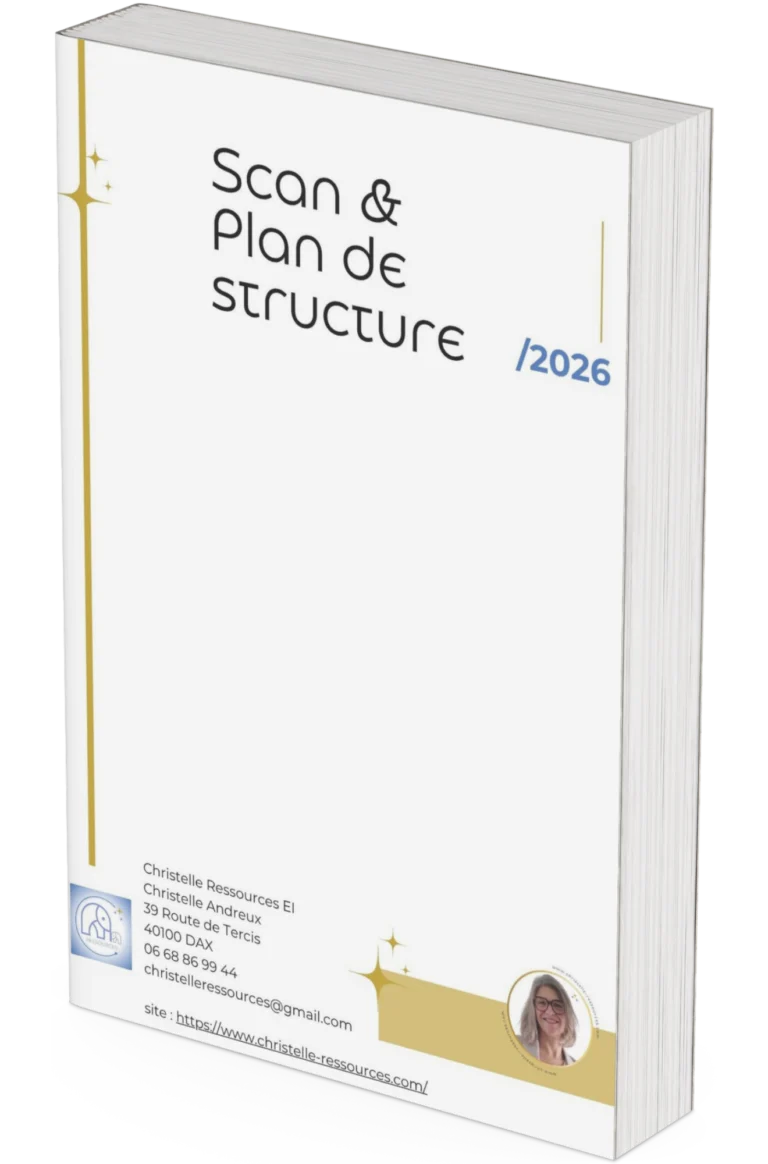 mock-up-plan-de-structure-Christelle-Andreux_-Consulting-croissance-Scaling-à-Dax_-experte-en-structuration business